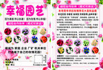 玫瑰花园林海报宣传单介绍