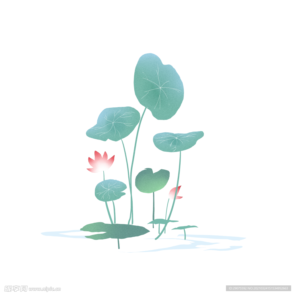 卡通荷叶