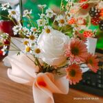 鲜花