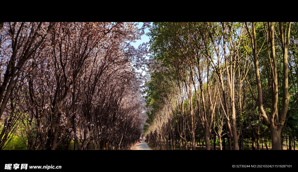 莽山路公园