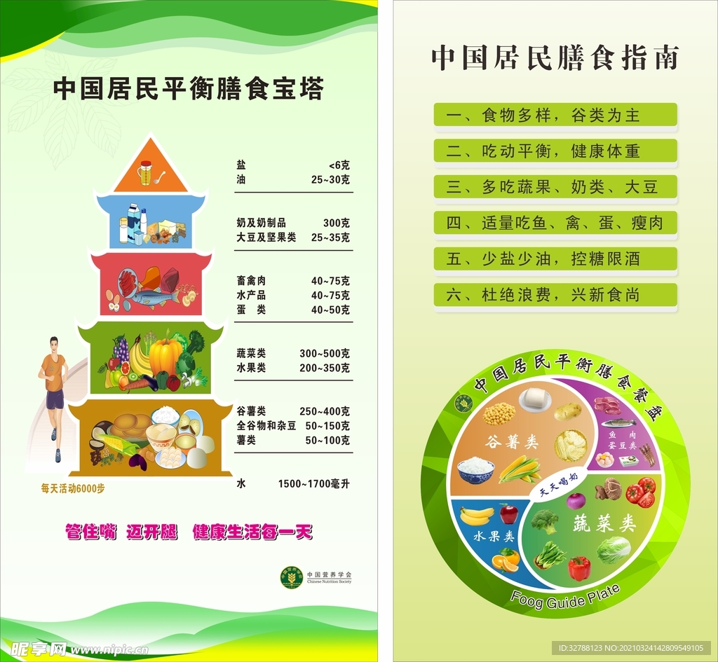 膳食宝塔膳食餐盘