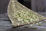 茉莉花茶