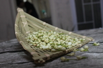 茉莉花茶