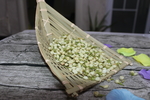 茉莉花茶