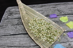 茉莉花茶