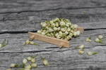 茉莉花茶