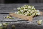 茉莉花茶