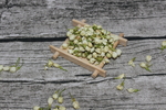 茉莉花茶