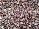 斑马豆