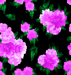手绘花