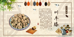 中医文化 药材文化 药材素材