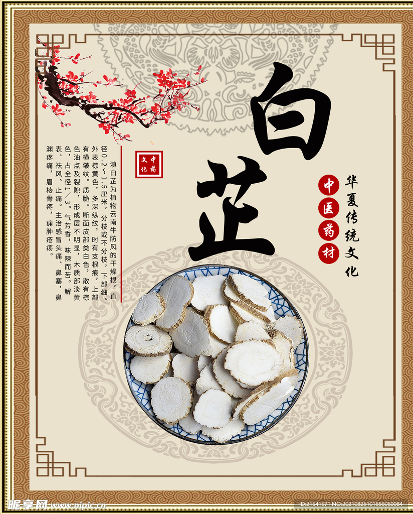 中医文化 药材文化 药材素材