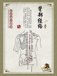 中医文化 药材文化 药材素材