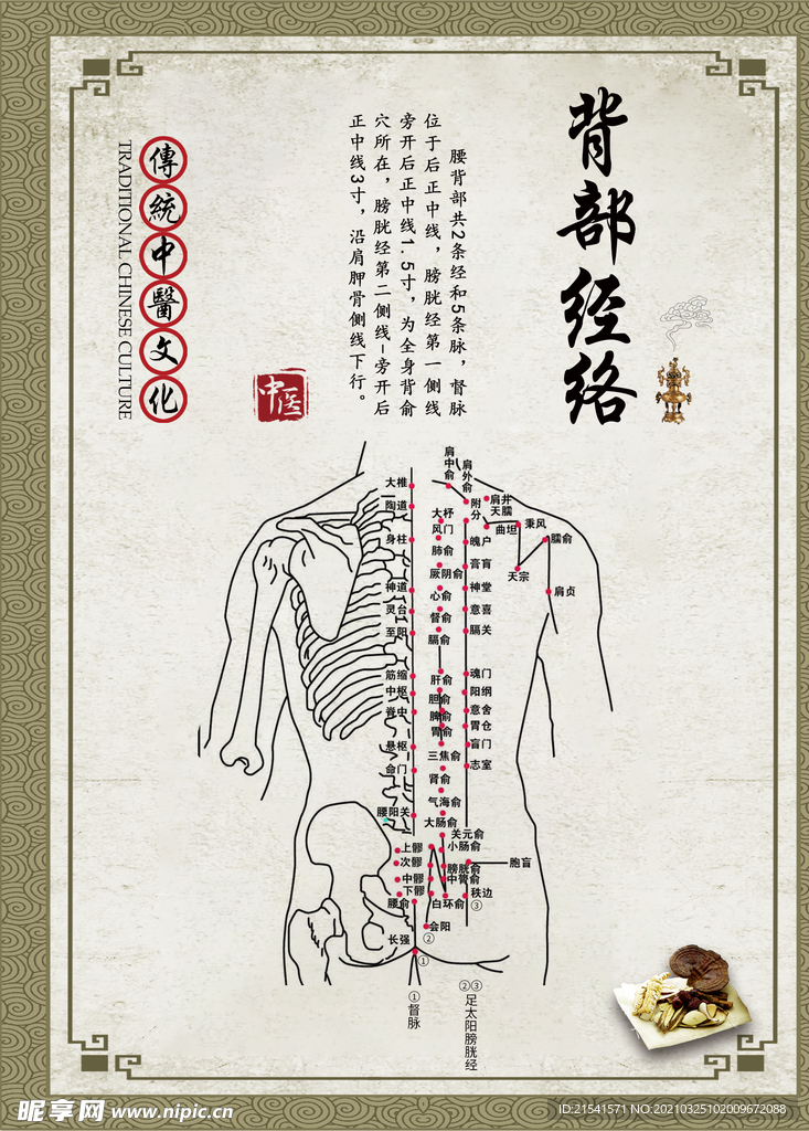 中医文化 药材文化 药材素材