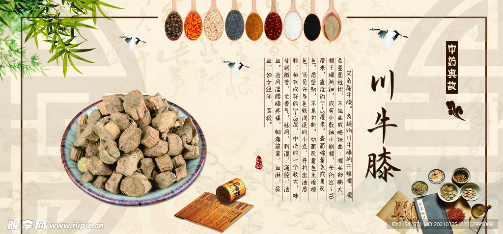 中医文化 药材文化 药材素材