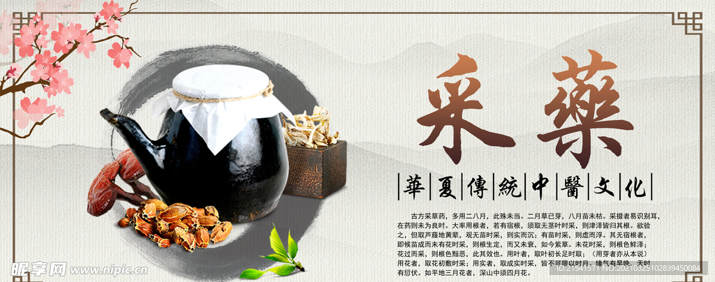 中医文化 药材文化 药材素材