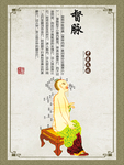 中医文化 经脉 穴位 中医