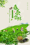 春茶