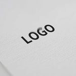 纸张印刷效果logo样机