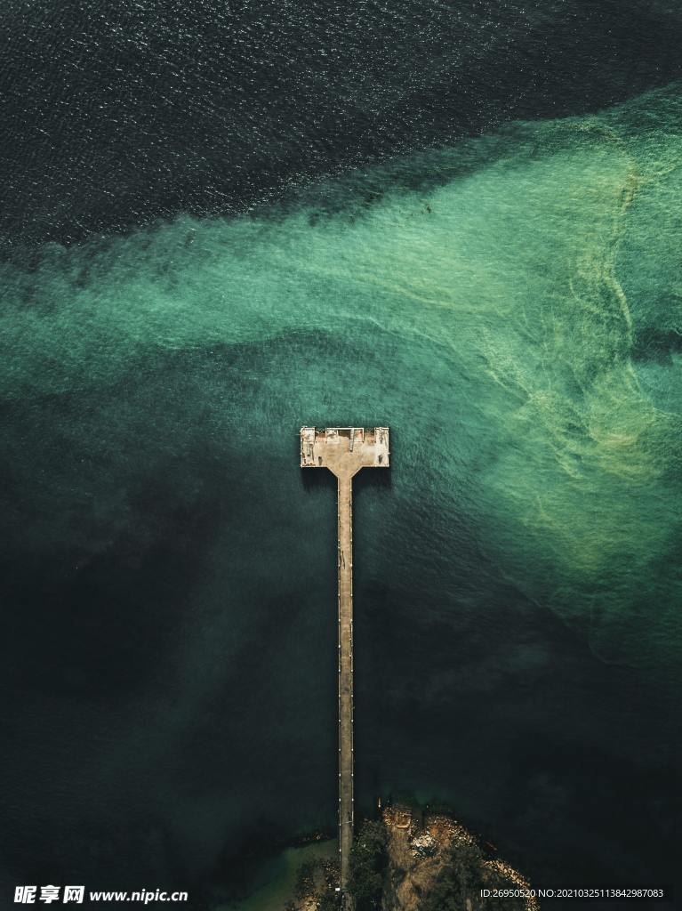 海