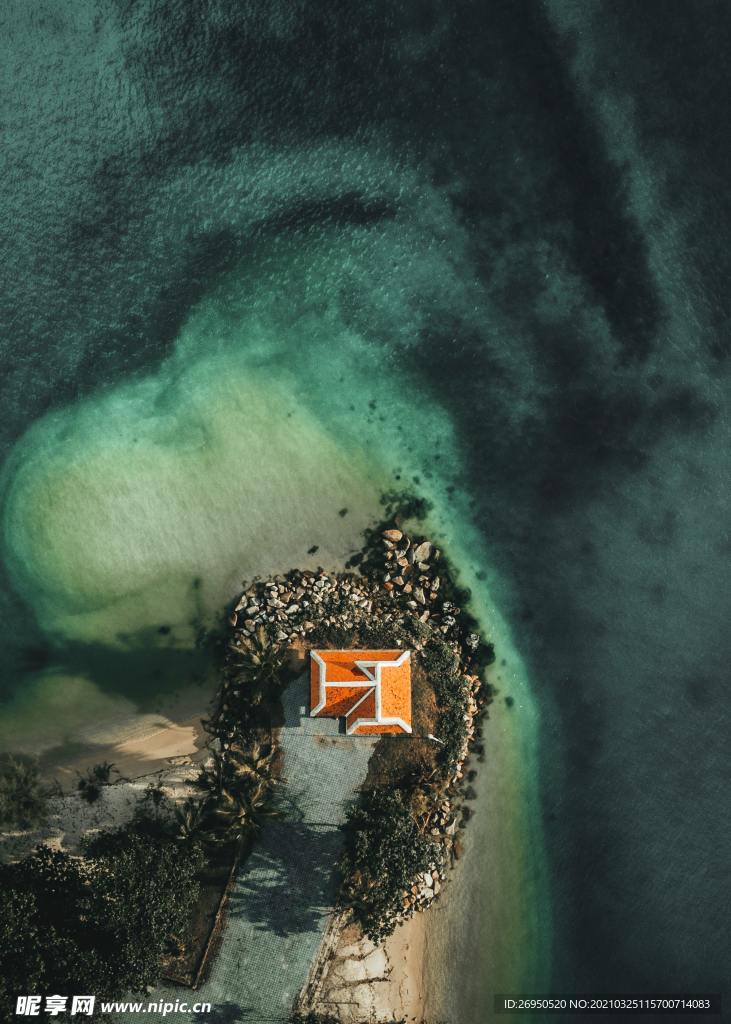 海