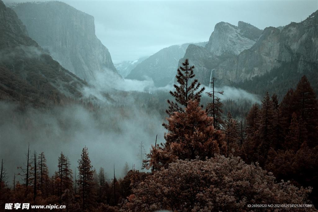 风景