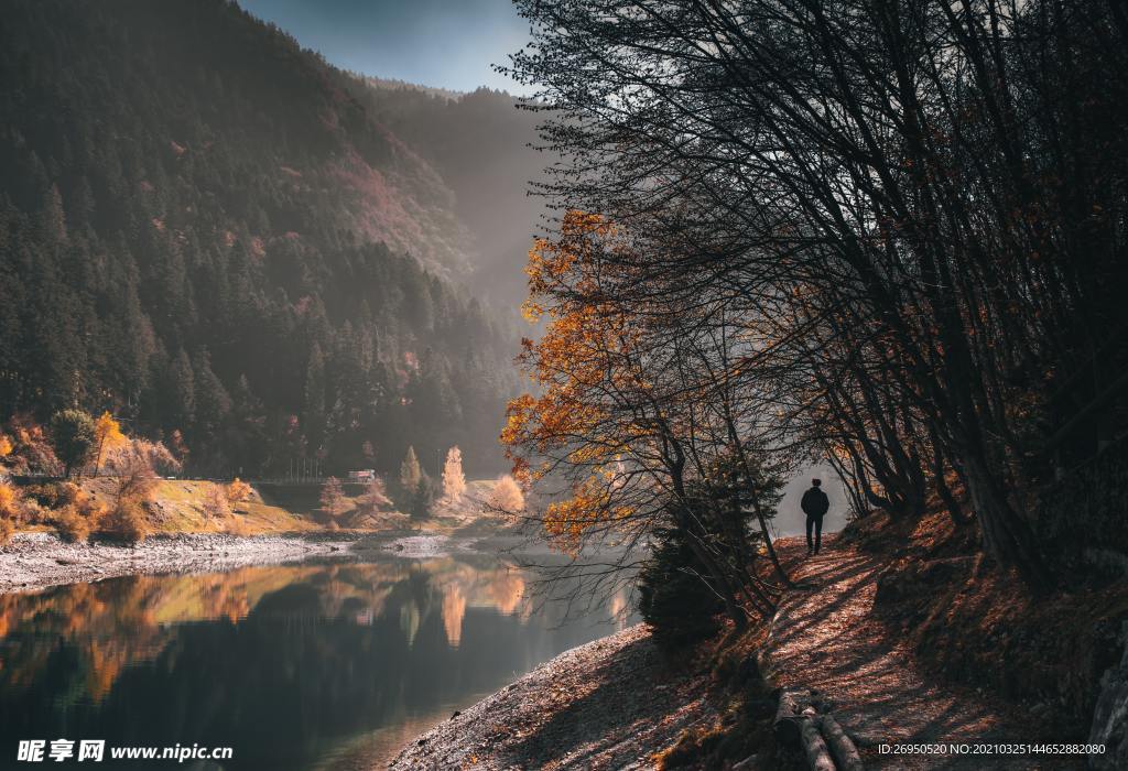 风景