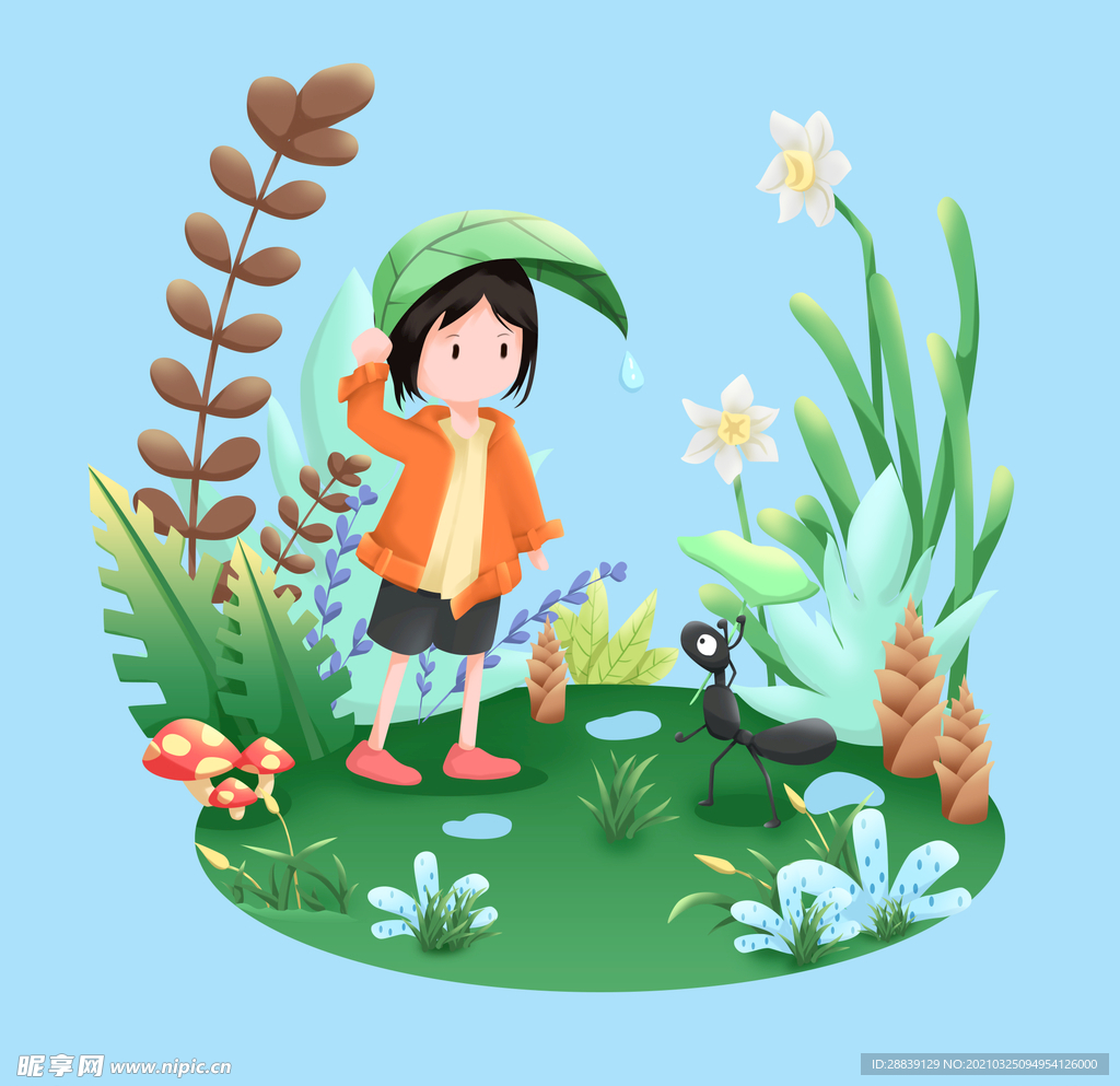 雨水
