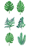 植物叶子