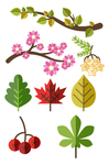 手绘植物叶子