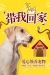 领养宠物