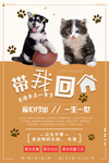 领养宠物