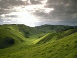 田园风景 风景 农田