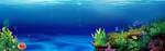 海底世界