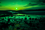 夕阳