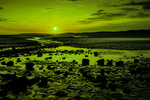夕阳