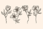 四朵花