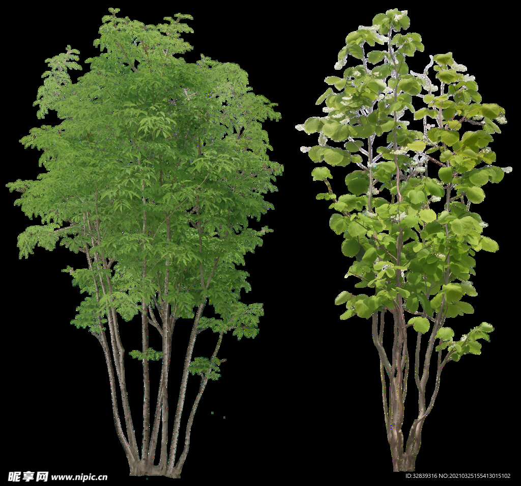 PSD格式分图层树木高清植物