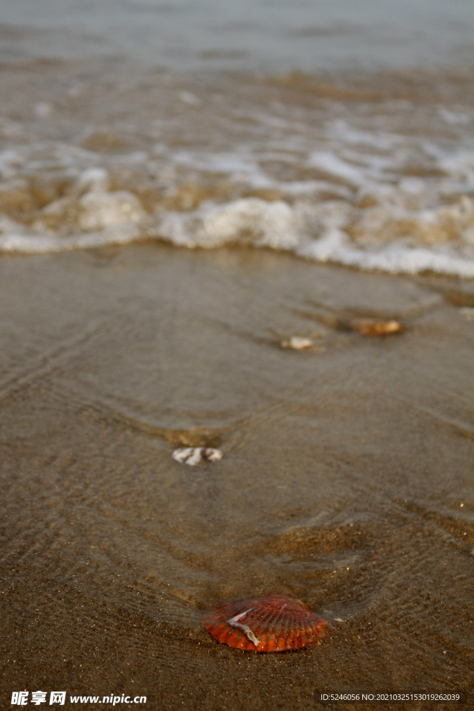 海滩