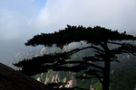 黄山