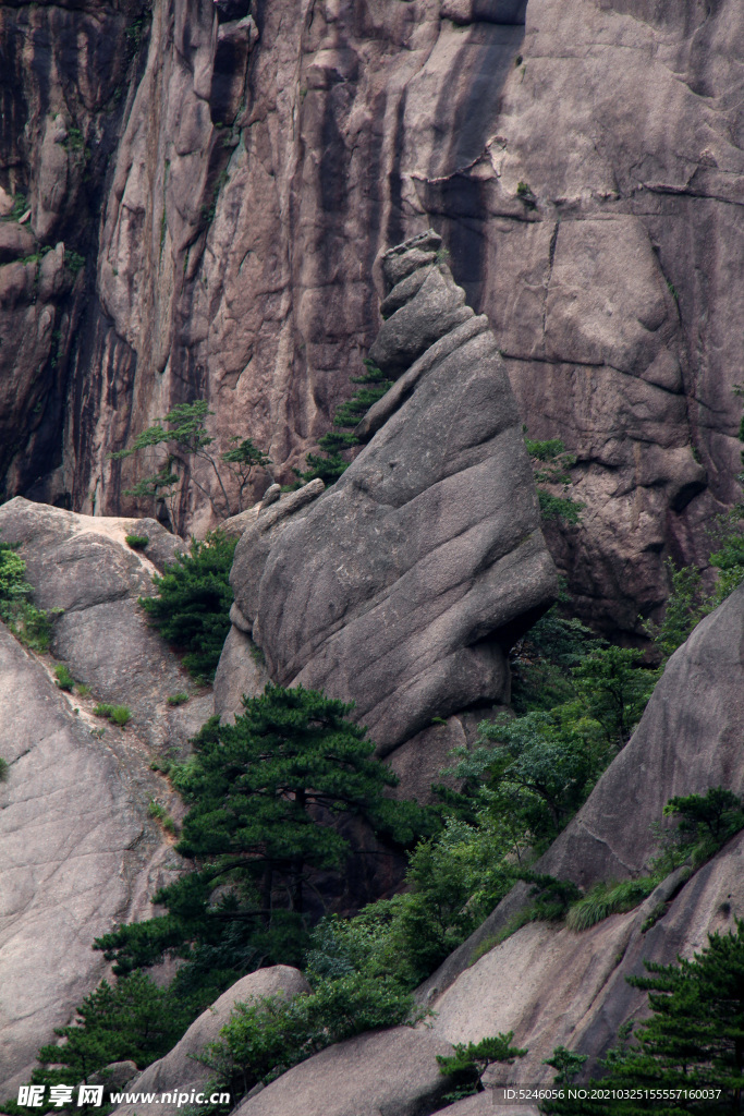 黄山奇石