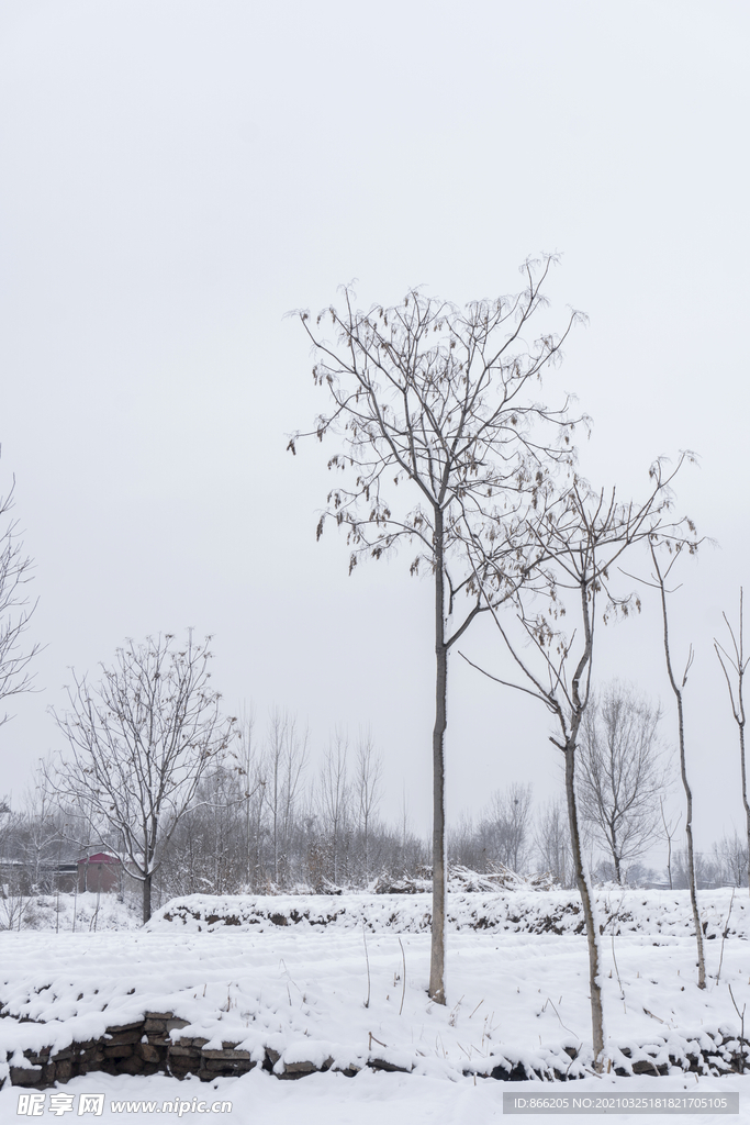 雪景