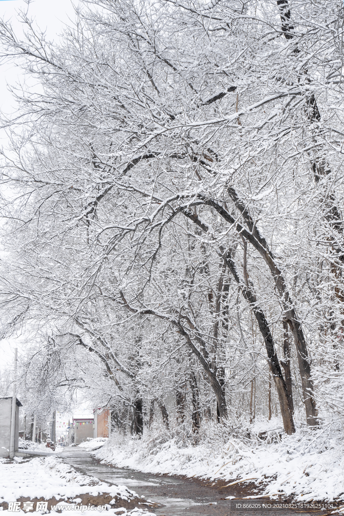 雪景
