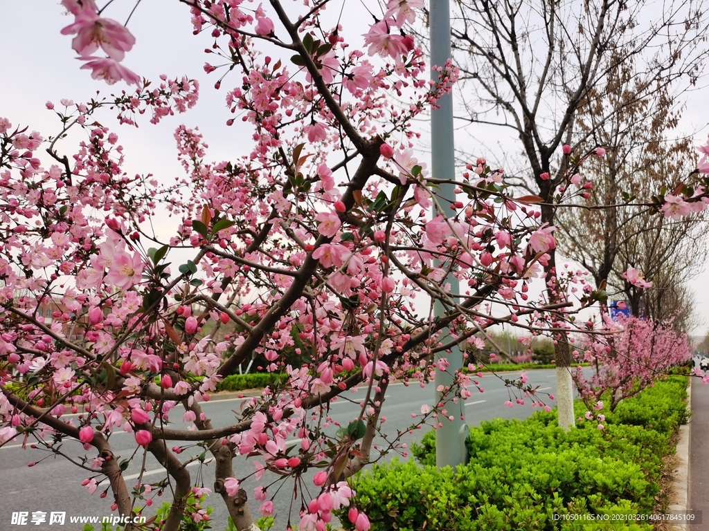 春暖花开