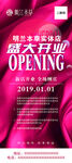 明兰本草开业展架