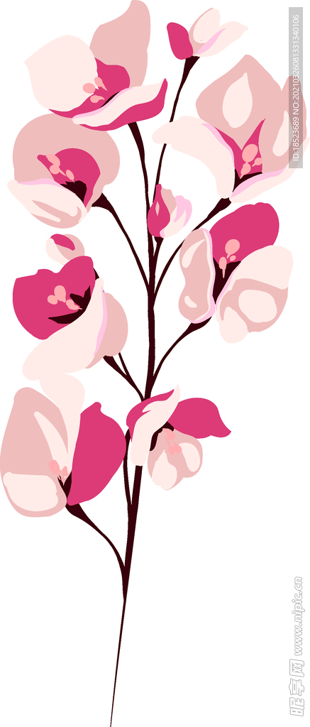 热带花