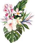 花卉