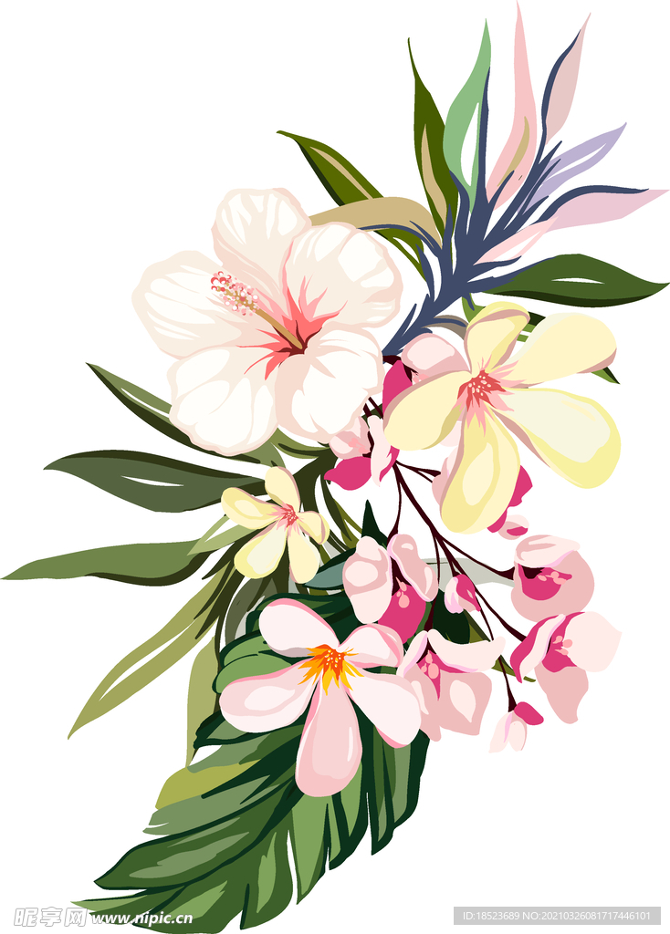 花卉