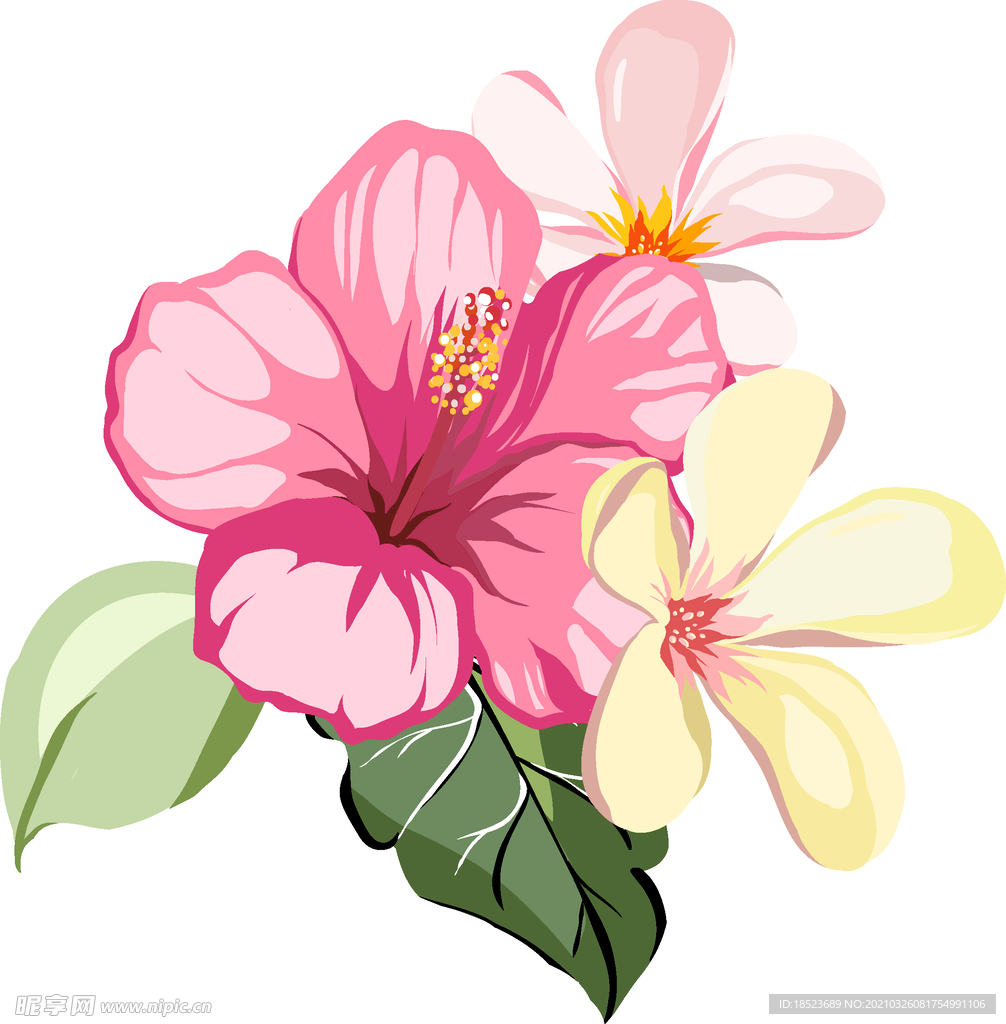 花卉