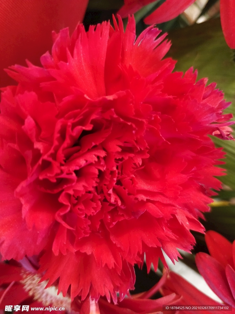 花